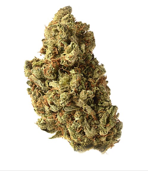 Amazing Haze AG